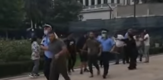 Iar ne remarcăm: 19 țigani din județul Vaslui s-au luat la bătaie chiar în Curtea Mitropoliei din Iași