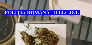 Tânăr arestat pentru trafic de droguri