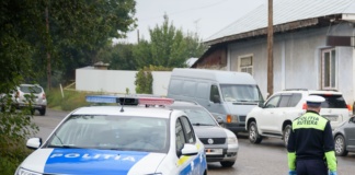 Șoferi de două categorii: ori băuți, ori fără permis!