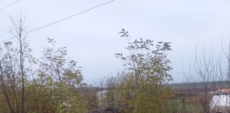 Accident rutier cu două victime, pe raza localității Vulturești