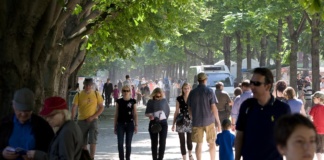 În Vaslui bărbații câștigă mai puțin decât femeile