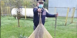 Pește prins cu o plasă interzisă, redați mediului natural
