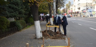 Bârladul, un oraș tot mai verde