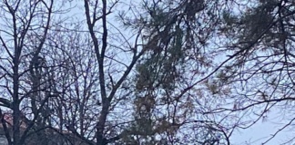 Tânăr rănit după ce a căzut de pe acoperişul şcolii Sfânta Ecaterina din Huşi, unde făcea lucrări