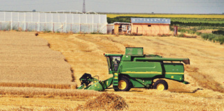 Impozitele pentru venituri din arendă primită în natură, mai mici ca anul trecut