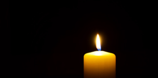 In Memoriam Dr. Neculai Bârlădeanu (1927-2020)