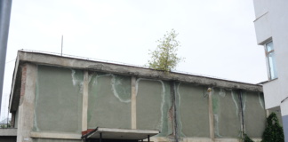 Deputatul Tudor Polak, întrebare de… cinefil: câți copaci trebuie să mai crească pe ”Modern”?