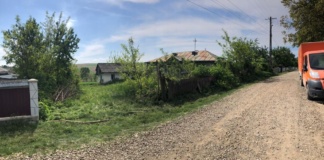 Atenție la terenurile agricole lăsat pârloagă: fie subvenție APIA, fie impozit de 5 ori mai mare!