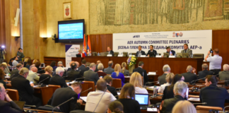 4.396 Euro dă județul Vaslui pentru a face parte din Europa