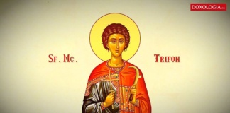 IZVOR DE APĂ VIE. TRADIŢII ŞI OBICEIURI DE SF. TRIFON SAU AREZANUL VIILOR