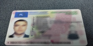 Permis fals, pentru un drum în Lituania