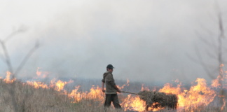 Autoritățile locale, apeluri repetate către vasluieni: Nu dați foc miriștilor!