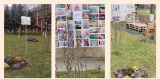 Raport ARTEST: Proiectul HUB VERDE, la final