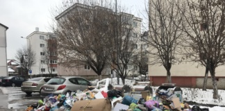 Bârlad: amenzi usturătoare pentru deșeurile aruncate aiurea!