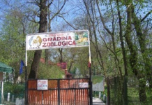 Zoo Bârlad, deschis de 1 Mai. Primăria anunță program special pentru vizitatori