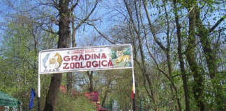 Zoo Bârlad, deschis de 1 Mai. Primăria anunță program special pentru vizitatori