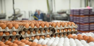 Controale mai vigilente la produsele de Paște