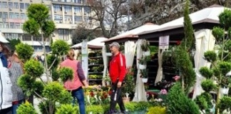 „Serbarea Florilor” revine la Vaslui! Zeci de expozanți aduc flori spectaculoase și plante decorative în Centrul Civic
