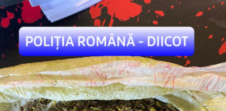 Vasluian cercetat penal pentru operațiuni cu produse psihoactive