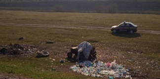 Ce au făcut polițiștii locali din Bârlad pe linia protejării mediului?