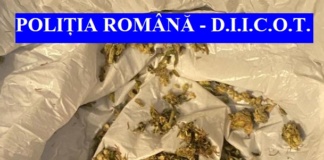 Doi ieșeni, traficanți de droguri, prinși de polițiștii vasluieni