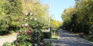 Bârladul va avea propriul Registru local al spațiilor verzi