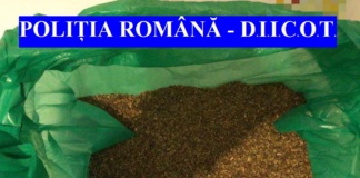 Doi vasluieni, cercetați pentru operațiuni cu produse susceptibile a avea efecte psihoactive