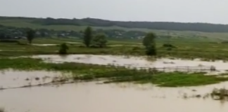 ISU intervine pentru evacuarea apei din mai multe gospodării în Băcești și Todirești