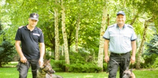 Poveștile oamenilor în uniformă (IV) – De la frontieră la dezastre și misiuni de pază: contribuția câninilor de urmă și de salvare