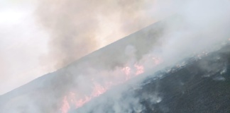 35 de hectare de grâu și miriște mistuite de foc la Bunești