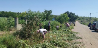 Angajații Primăriei Șuletea, scoși la curățenie pe domeniul public