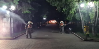 Autoritățile din Bârlad, o nouă dezinsecție pe raza orașului