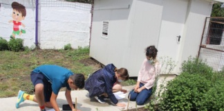 Astronomii amatori de la „Sirius”, vacanță instructivă