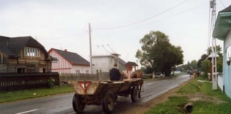 Căruțașii prinși, seara, în Pochidia riscă amenzi usturătoare