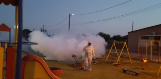 Vaslui – tratamentele de dezinsecție continuă