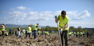 Județul Vaslui, locul cinci la nivel național la regenerarea pădurilor
