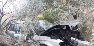 O mașină a ieșit de pe carosabil rupând un arbore la Ivești. Două persoane rănite