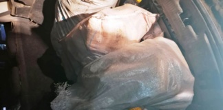 Hoți-braconieri puși paznici la porumb și la căpriori, prinși de polițiștii de frontieră