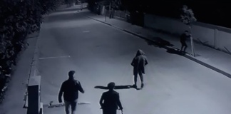 Au revenit vandalii pe strada Petru Rareș din Bârlad! Încă cinci pomi ornamentali rupți!