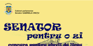 „Senator pentru o zi” – concurs pentru elevii de liceu din județ