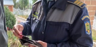 Permis fals procurat cu 800 de euro, descoperit la controlul de frontieră