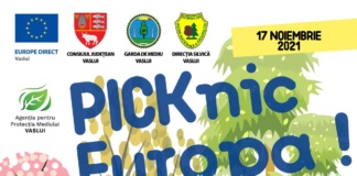 PICKnic Europa – ecologizare, picnic și plantare