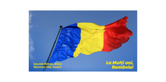 Senatorul PNL Mihail Bîca, mesaj de Ziua Națională