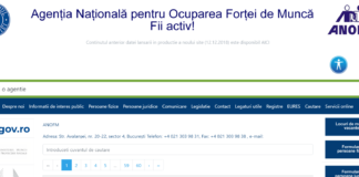 Angajatorii vasluieni pot comunica locurile de muncă disponibile direct pe siteul ANOFM