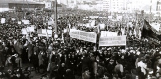 Alegerile parlamentare din noiembrie 1946 în județele Fălciu, Tutova și Vaslui (IV)