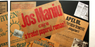 Alegerile parlamentare din noiembrie 1946 în județele Fălciu, Tutova și Vaslui (II)