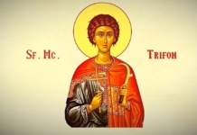 IZVOR DE APĂ VIE. TRADIŢII ŞI OBICEIURI DE SF. TRIFON SAU AREZANUL VIILOR