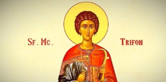 IZVOR DE APĂ VIE. TRADIŢII ŞI OBICEIURI DE SF. TRIFON SAU AREZANUL VIILOR