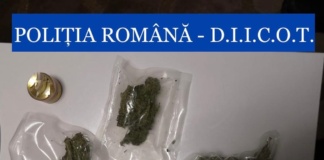 Percheziții la persoane bănuite de trafic de droguri de risc și mare risc