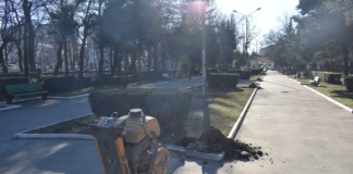 Grădina Publică Bârlad va beneficia de iluminat public modern